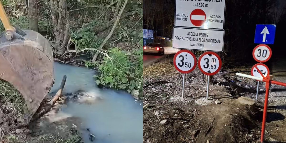 Dejecții de lux în Pădurea Tunari: Afacerea șocantă