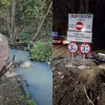 Dejecții de lux în Pădurea Tunari: Afacerea șocantă