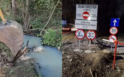 Dejecții de lux în Pădurea Tunari: Afacerea șocantă
