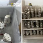 Trei reținuți în dosar de droguri și ciuperci halucinogene
