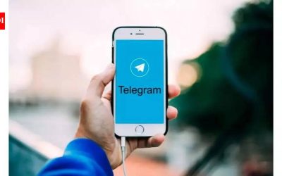 Guvernul dă ultimatum Telegram: 15 zile pentru măsuri anti-abuz