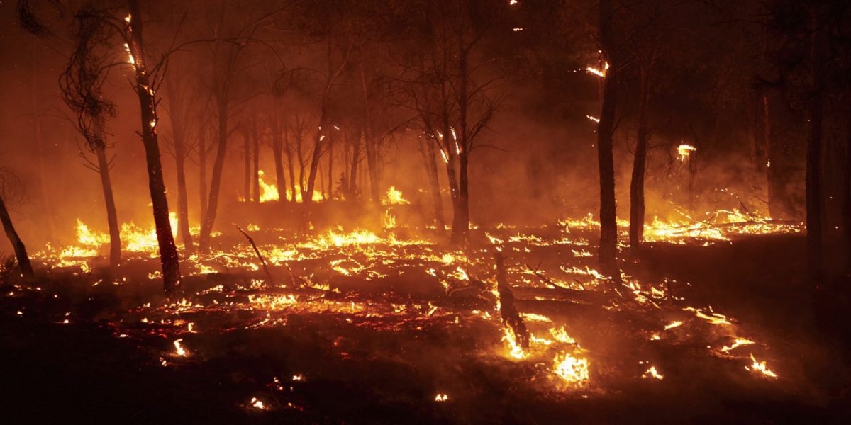 Străini, majoritatea victimelor incendiilor din Spania