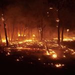 Străini, majoritatea victimelor incendiilor din Spania