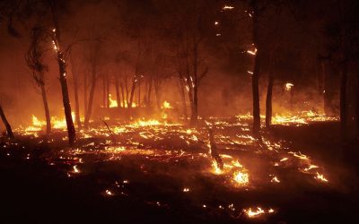 Străini, majoritatea victimelor incendiilor din Spania