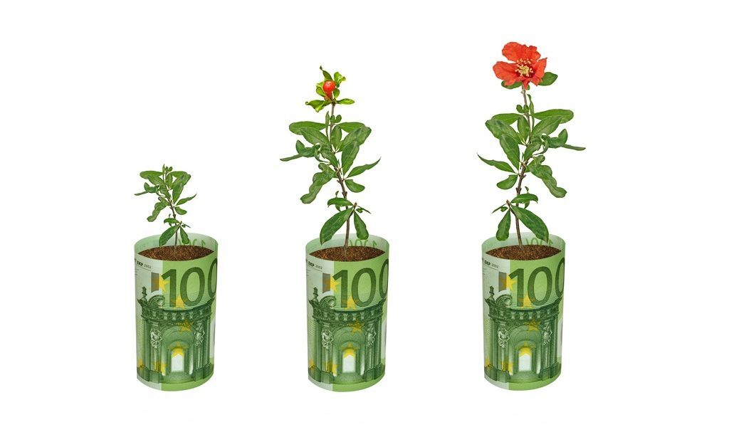Fonduri UE: Fermierii români primesc 100.000 EUR pentru flori și plante