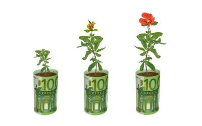 Fonduri UE: Fermierii români primesc 100.000 EUR pentru flori și plante