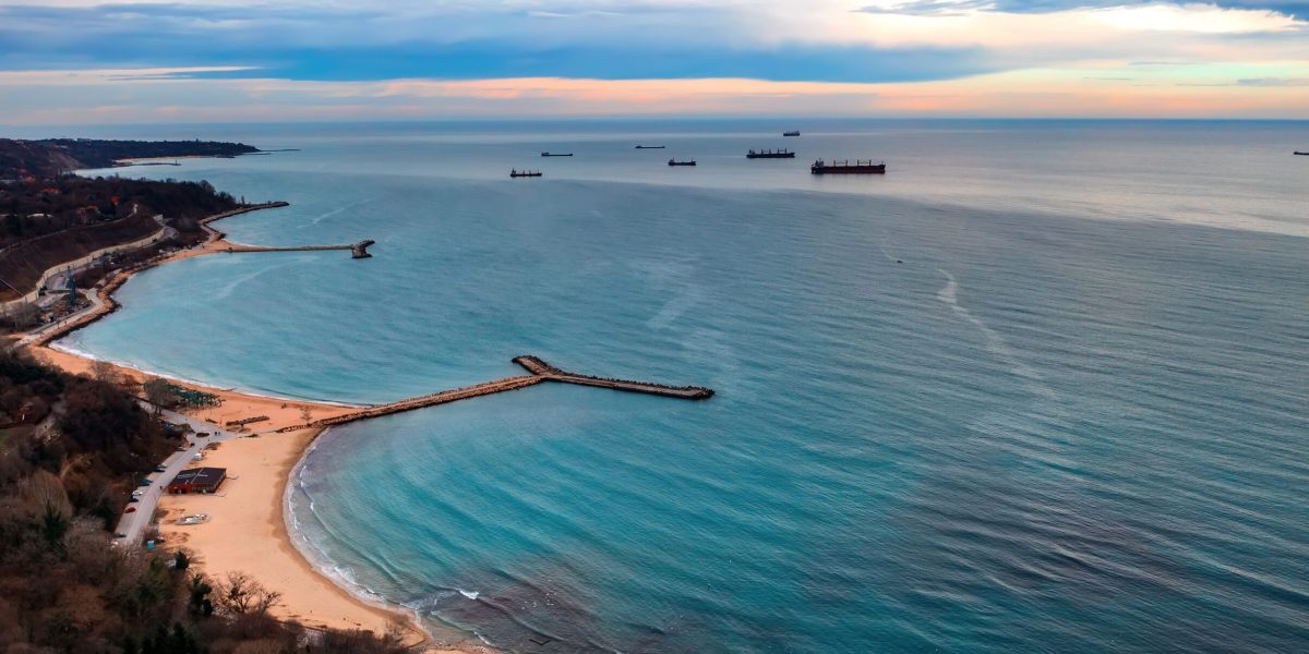 Vibrio înmulțit: Pericol în marea caldă