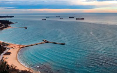 Vibrio înmulțit: Pericol în marea caldă