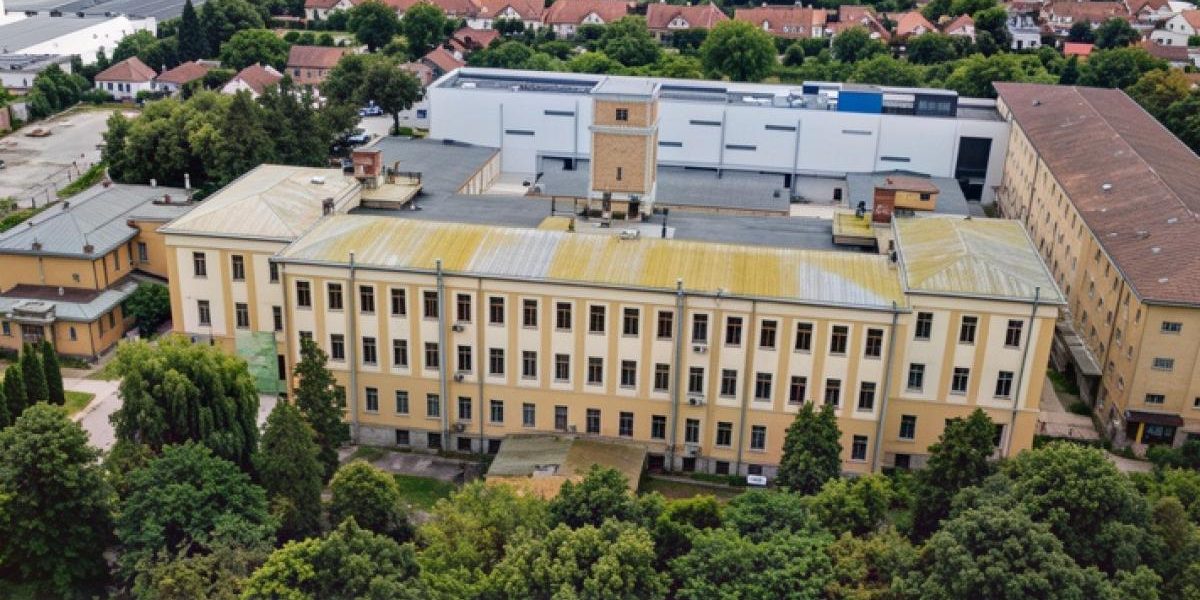 Fabrica Carpați/Snagov din Sfântu Gheorghe, reinventată pentru tineri