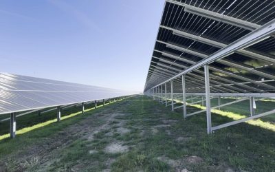 Arad: Cel mai mare parc fotovoltaic din Europa, avizat de ANRE