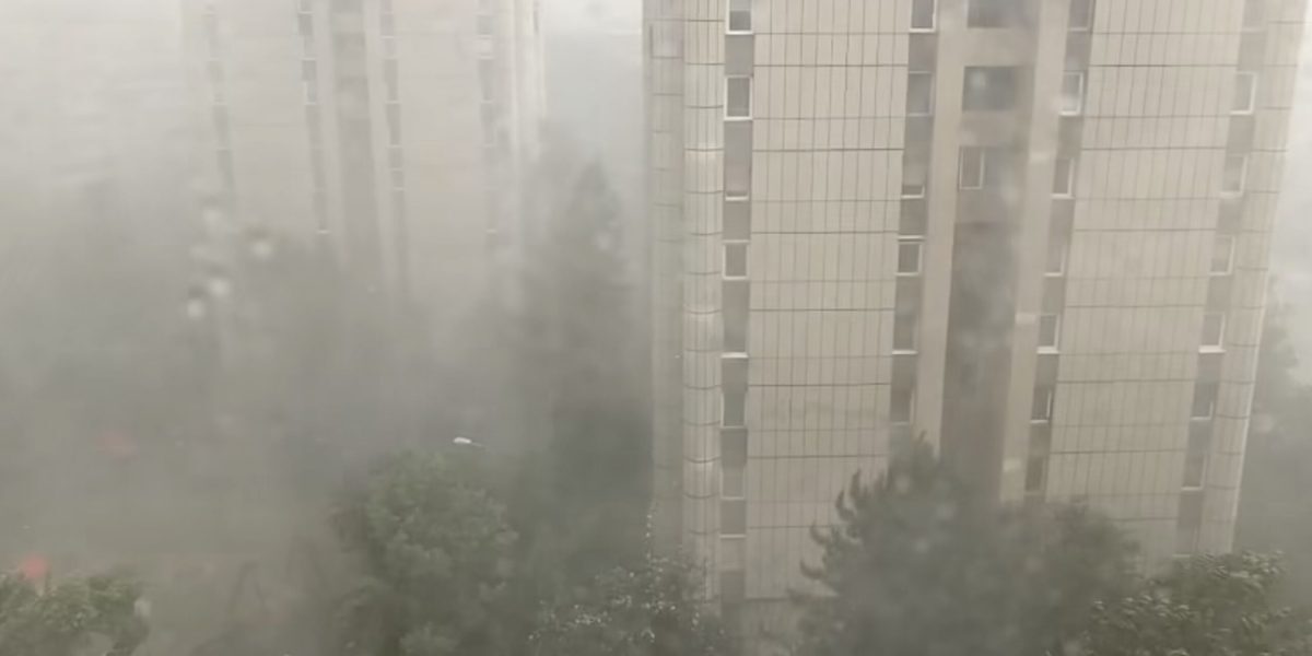 Brașov, lovit de furtună: Copaci doborâți, garaje inundate