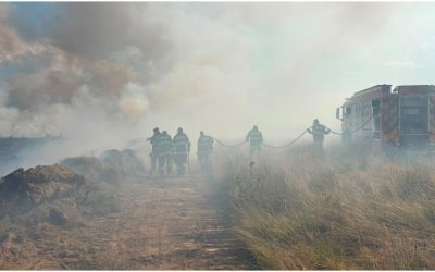 Sibiu: Incendiu pe Valea Avrigului, pompierii luptă cu flăcările