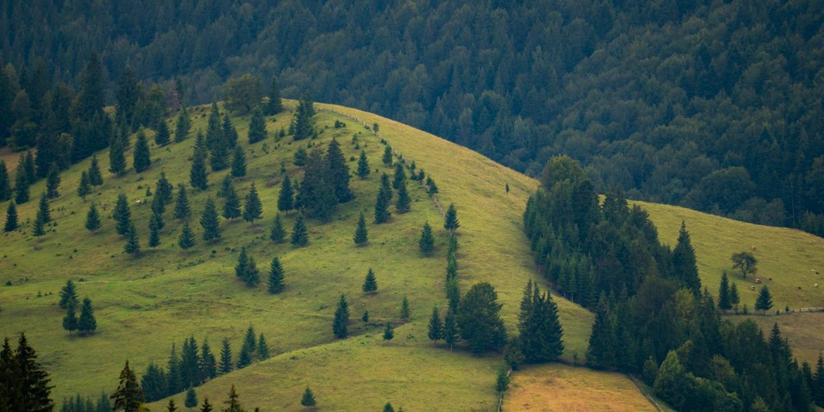 Legea Biodiversității: 972 mil. € vs. Realitatea României