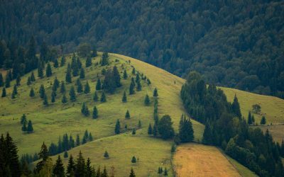 Legea Biodiversității: 972 mil. € vs. Realitatea României