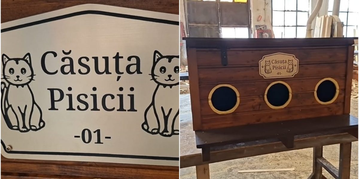 Arad: Căsuțe gratuite pentru pisicile străzii