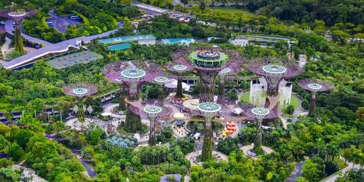 Singapore: 1 milion copaci răcoresc orașul, scad facturile la AC
