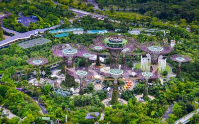 Singapore: 1 milion copaci răcoresc orașul, scad facturile la AC