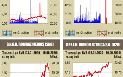 BVB: Crahul de pe bursa românească se adâncește