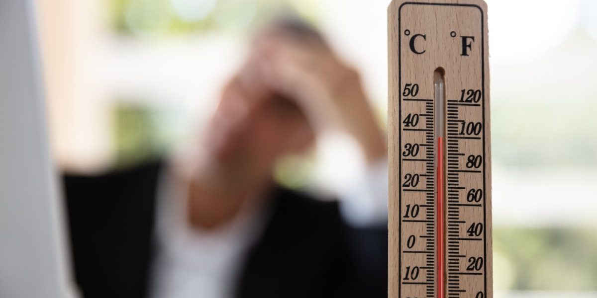 Cod portocaliu de caniculă în mai multe zone din țară: temperaturi de până la 36 de grade. Cum va fi vremea în București HARTĂ
