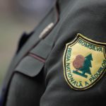 Buzoianu: Romsilva, „putred de coruptă”. DS Ilfov a „salvat” Pădurea Băneasa