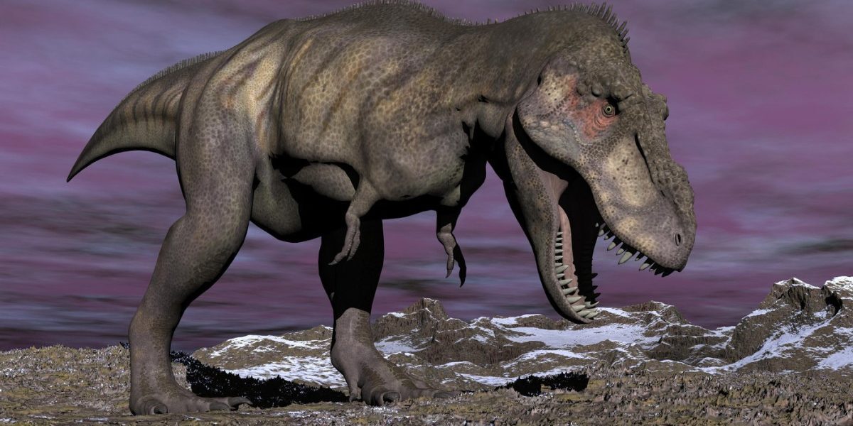 T-Rex, dinozaur cu sânge cald, dezvăluit de un dinte