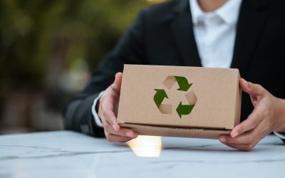 UE impune noi reguli: Fără amenzi pentru IMM-uri timp de 1 an