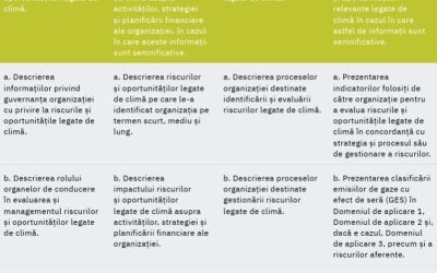 Ghid ESG BVB: Reguli clare pentru companii