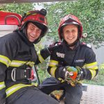 Pompierii din Tulcea salvează un pui de papagal