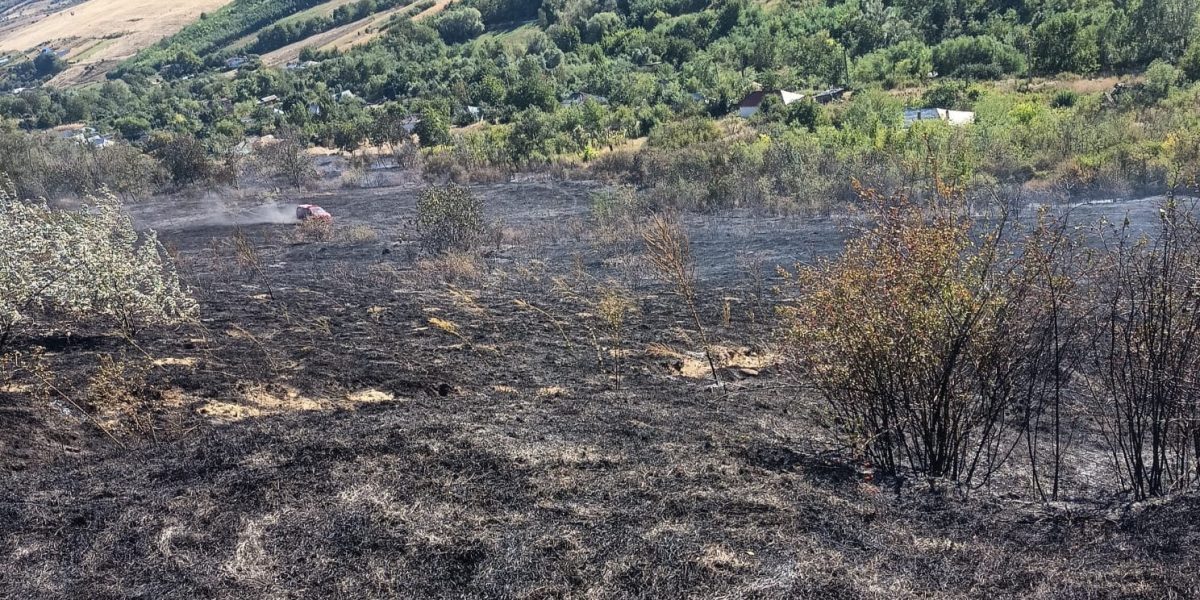 Incendiu violent în Vaslui: 12 hectare distruse, șapte case scapă ca prin minune