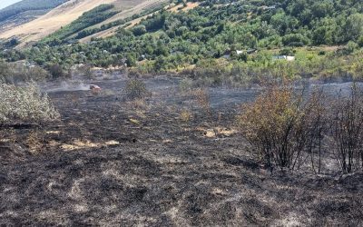 Incendiu violent în Vaslui: 12 hectare distruse, șapte case scapă ca prin minune