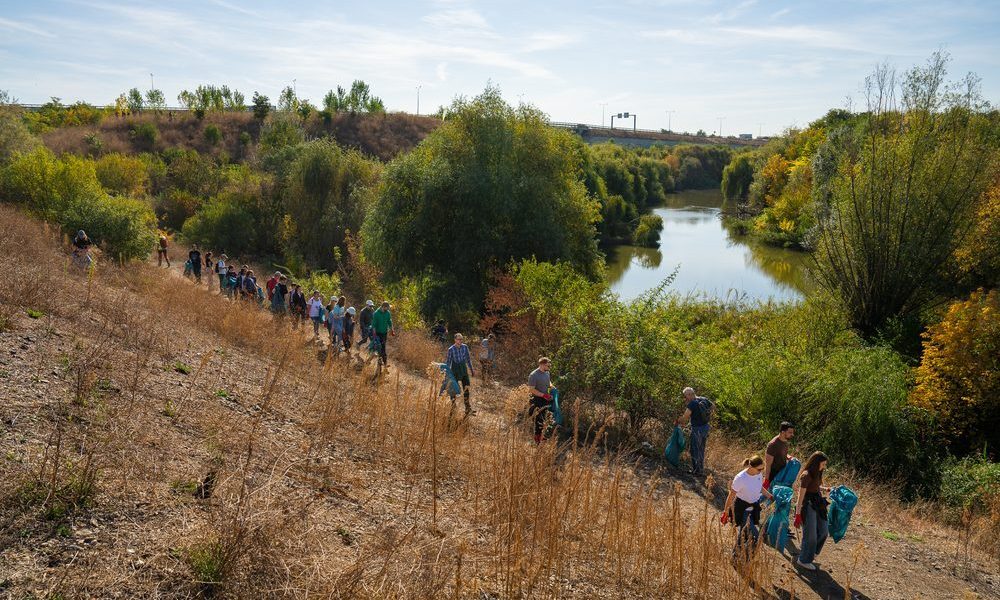 Dumbrava Curățată: 100 Voluntari Salvează Natură Ascunsă de A3