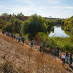 Dumbrava Curățată: 100 Voluntari Salvează Natură Ascunsă de A3