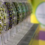 Băcănie norocoasă: 1,87 milioane euro la Joker duminică