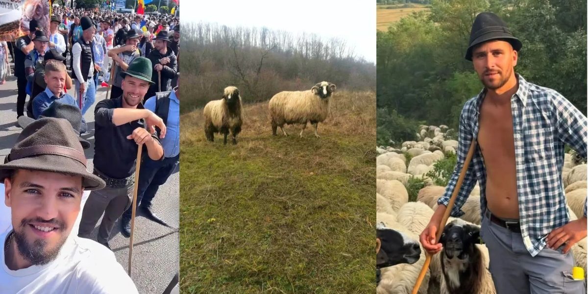 Ciobanul și-a vândut calul de 3000 euro pentru fratele reținut