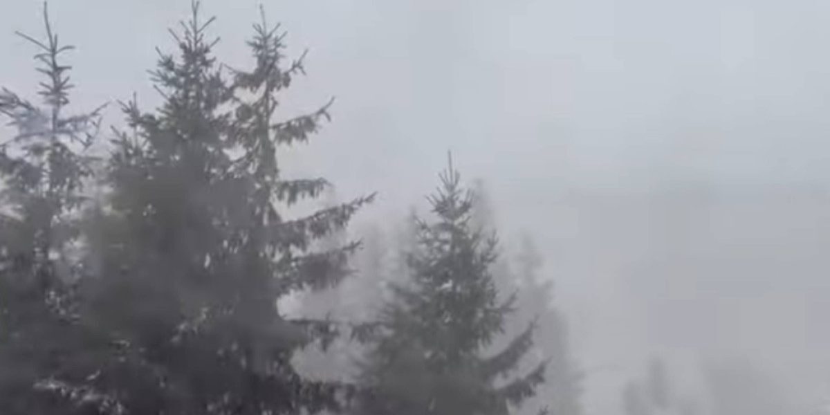 Iarna s-a instalat deja pe munte, la altitudini mari: ninsoare, vânt puternic, ceaţă. Avertismentul Salvamont Prahova