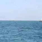 Bulgaria adună România, Turcia: Consultări de urgență Marea Neagră