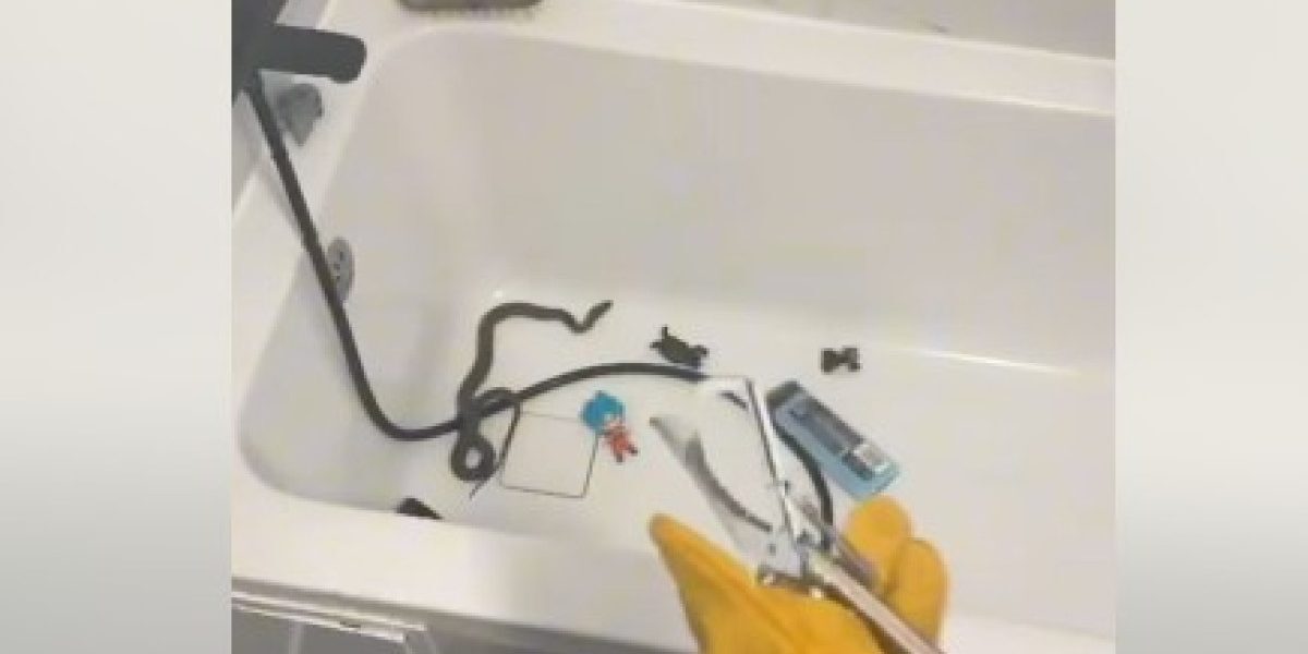 Şarpe găsit în cadă, încolăcit pe furtunul de la duş, în timp ce o femeie din Medgidia se pregătea să-și îmbăieze copilul
