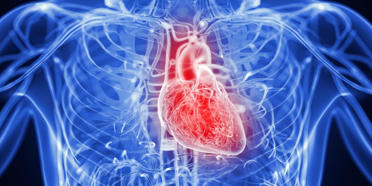 Inflamația cronică afectează inima: Rolul genelor și stilului de viață