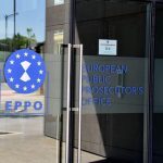 FRAUDĂ UE: 1,8 MILIOANE € furate de la săracii din Dolj