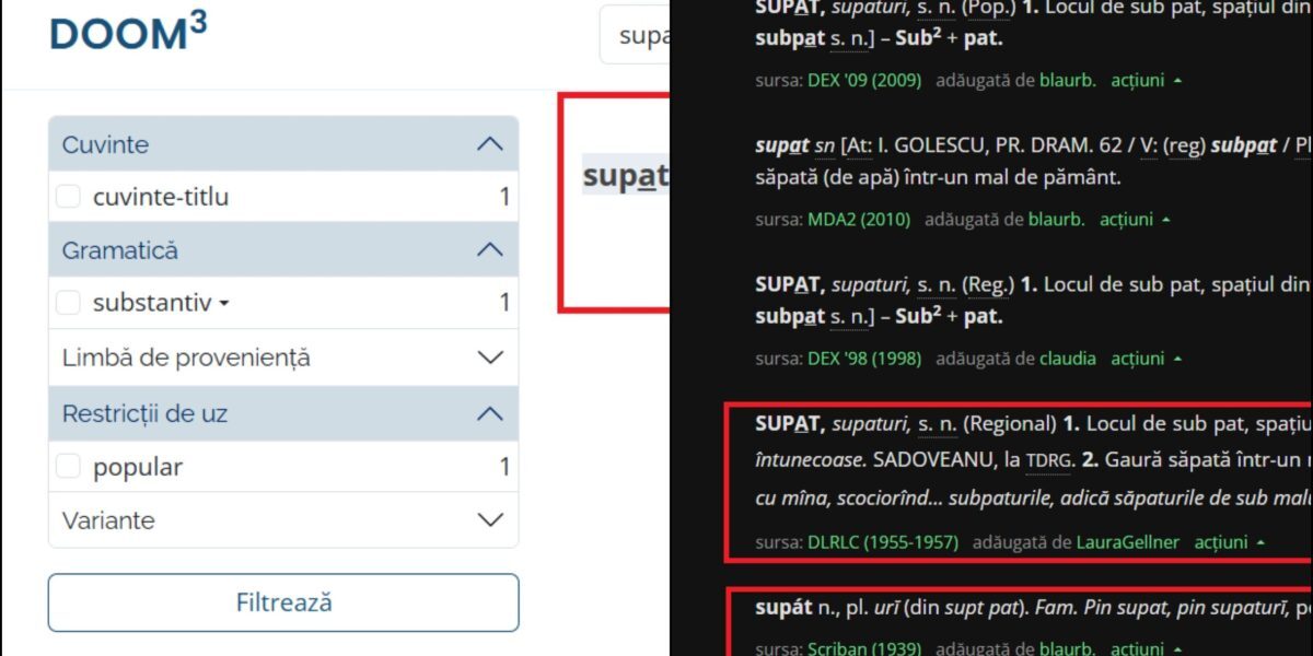 Cuvântul românesc viral: Ce spune DOOM despre el