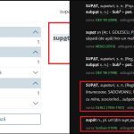 Cuvântul românesc viral: Ce spune DOOM despre el