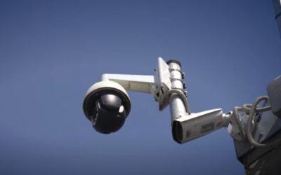 AI a greșit ținta: Polițiștii au năvălit în casă la 4 dimineața