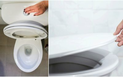 Oțet în toaletă: Secretul popular pentru curățenie săptămânală